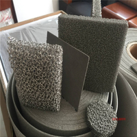 Power Battery Electrode Material Foam Nickel Ni with Good Electrical Conductivity