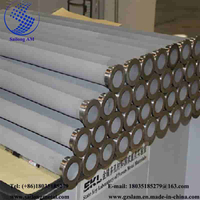 Metal Screen Filter Pipe of Various Specifications Used in Oil Industry