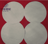 High Temperature Titanium Filter plate by Powder Rolling Sintering for Industry 