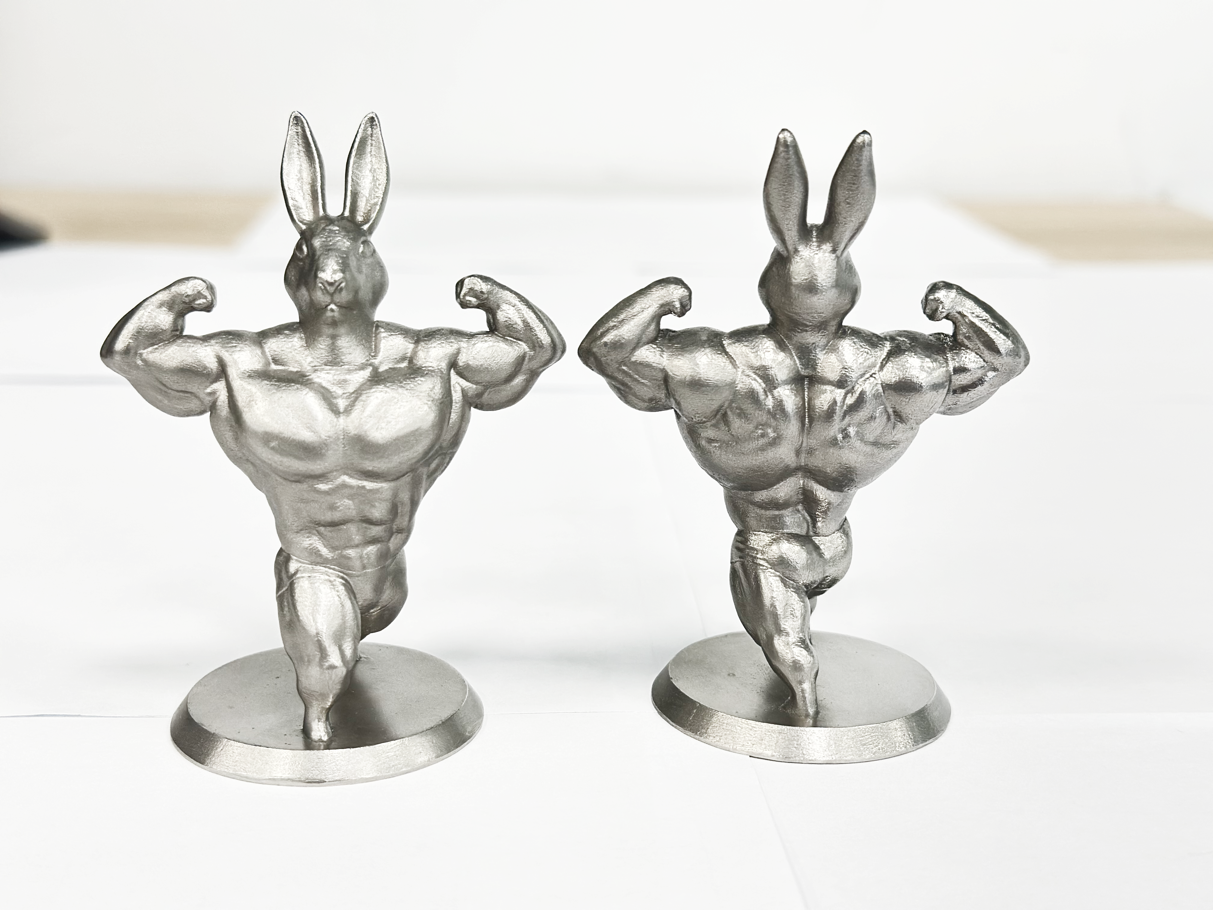 3D Printed Stainless Steel Muscle Rabbit